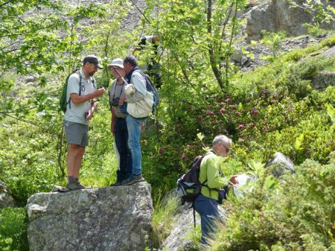 Les entomologistes du Grenha travaillent à l'nventaire des invertébrés dans le Valgaudemar - juin 2020