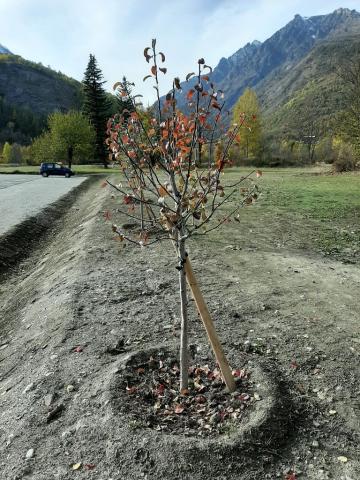 Revalorisation du parking de la maison du Parc de Vallouise © Hélène Quellier - Parc national des Ecrins