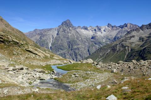 Sur l'alpage de Bertrand © I. Miard - PNE