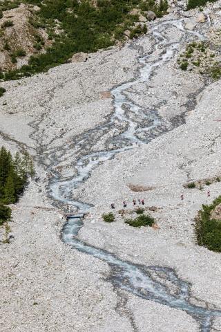 Torrent du Glacier Noir au pré de Mme. Carle © T. Maillet - PNE