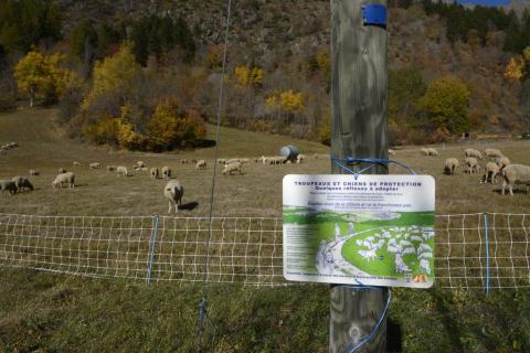 Panneau d'information sur les chiens de protection © D. Vincent - PNE