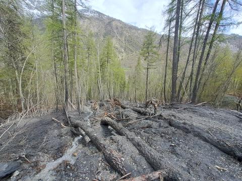 Glissement de terrain en bord d'Onde. Robin Paya