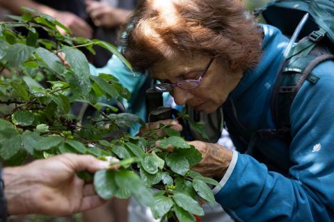 Sortie handinature dans le vallon du Fournel © O. Sabatier - PNE