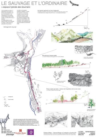 Le sauvage et l'ordinaire