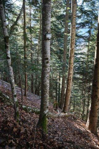 Enregistreur sonore à proximité de Confolens © Julien Guilloux