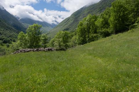La parcelle primée d'Alain Barban © Dominique Vincent - PNE