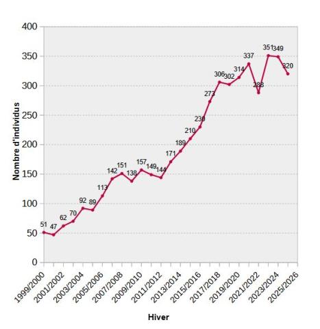 Évolution du nombre de bouquetins comptablisés à Champoléon depuis 1999