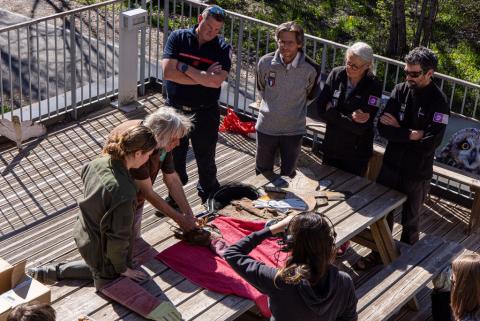 Formation sauvegarde de la faune sauvage par Michel Phisel © Thierry Maillet - PNE