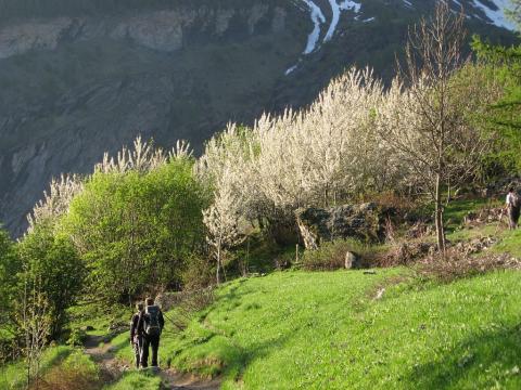 Sentier de Dormillouse au printemps © Thierry Maillet - PNE