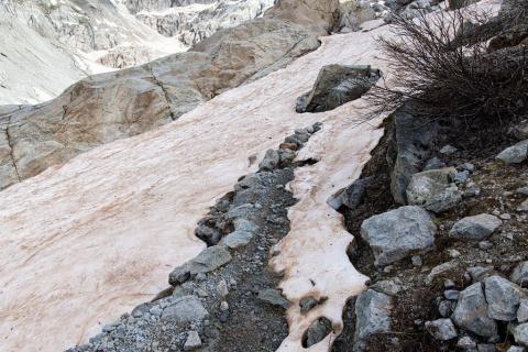 Névé sur sentier © Thierry Maillet - PNE