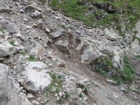 Eboulement sur le sentier montant au col du Vallon par le Lauvitel - J. Armand - Parc national des Ecrins