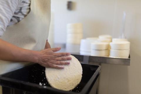 Production fromagère - Parc national des Ecrins - Fabien Thibault