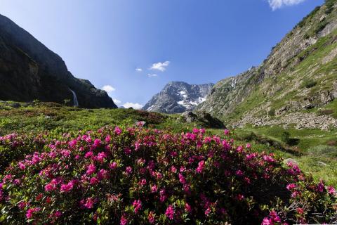 Vallon de la Lavey © Thierry Maillet - PNE