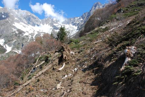 Reste d'avalanche coupant un sentier