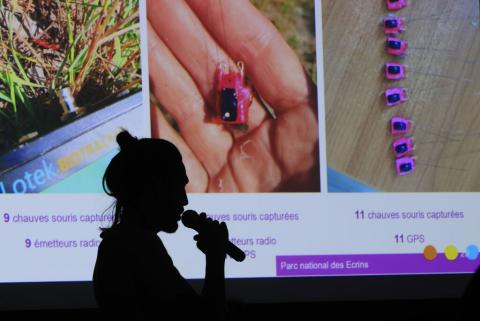 personne avec un micro devant un diaporama