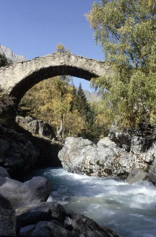 Pont de la Lavey ou des Rajas sur le Vénéon sous Champhorent ©	Roche Daniel - Parc national des Ecrins