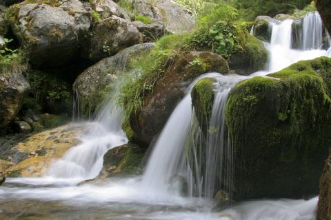 Torrent de Prentiq ©Marc Corail - Parc national des Ecrins