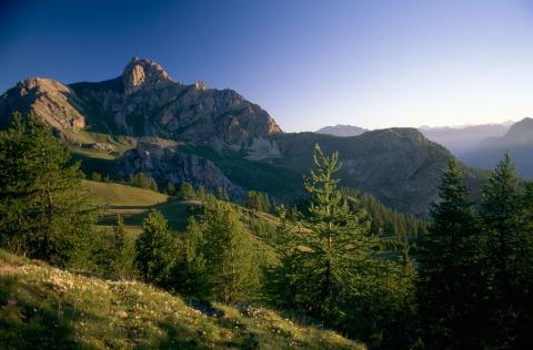 La tête de Gaulent vue depuis les abords de la crête de la Selle © Claude Dautrey - Parc national des Ecrins