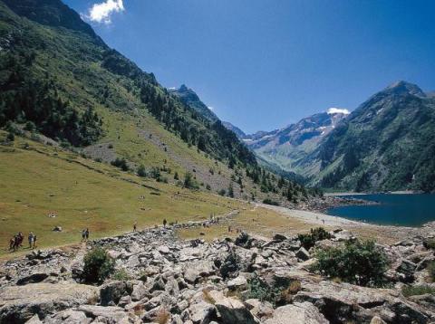 Parc des Écrins