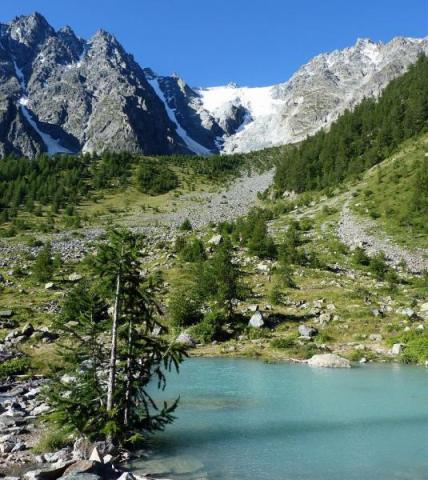 Parc des Écrins