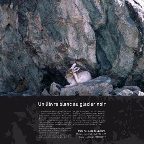 Parc des Écrins