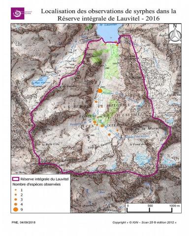 Localisation des observations des syrphes dans la Réserve intégrale de Lauvitel 2016