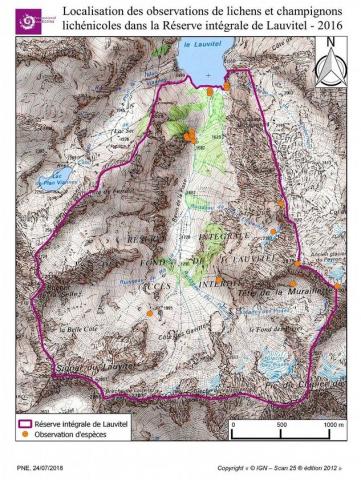 Localisation des observations de lichens et champignons lichénicoles dans la Réserve intégrale de Lauvitel 2016