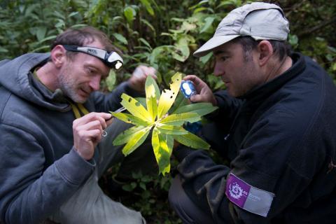 ATBI dans la réserve intégrale du Lauvitel © PNE