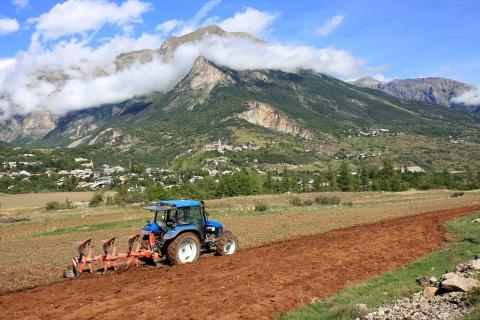 Labours sur le plateau de Fontmolines à Châteauroux les Alpes © Michel Bouche - Parc national des Ecrins