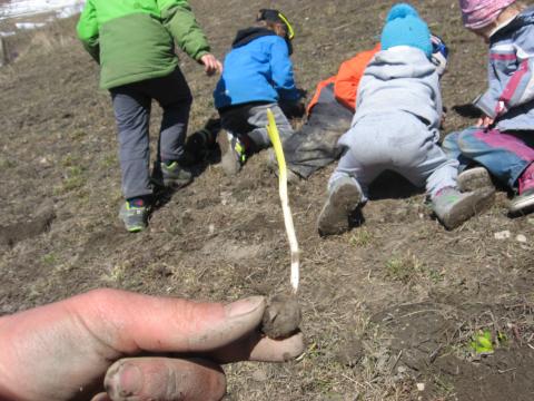  Ecole maternelle La Grave - Parc national des Ecrins - projet pédagogique sur le saisons - 2015-2016