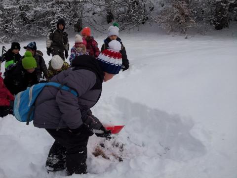 projet pédagogique école de Saint-Bonnet avec le Parc national des Ecrins - 2017