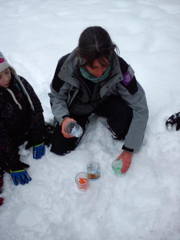 projet pédagogique école de Saint-Bonnet avec le Parc national des Ecrins - 2017