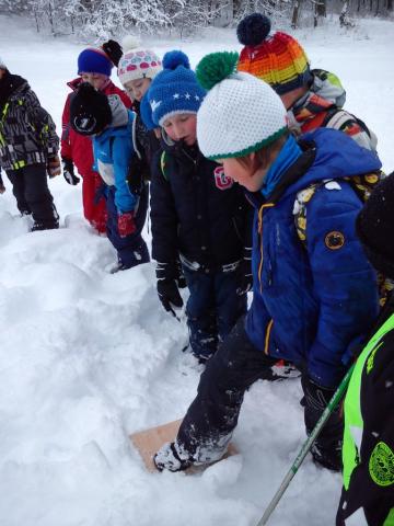 projet pédagogique école de Saint-Bonnet avec le Parc national des Ecrins - 2017