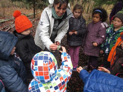 Jeunes découvreurs de la Motte en Champsaur - projet pédagogique avec le Parc national des Ecrins - 2016-2017