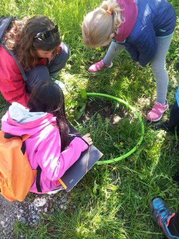 Ecole Chauffayer et Parc national des Ecrins - projet biodiversité 2017