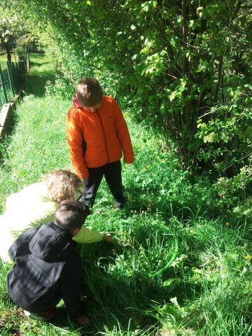 Ecole Chauffayer et Parc national des Ecrins - projet biodiversité 2017