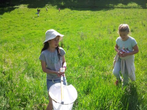 Ecole Chauffayer et Parc national des Ecrins - projet biodiversité 2017