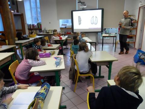 projet pédagogique Freney d'Oisans avec le Parc national des Ecrins - animaux sauvages - 2017-2018