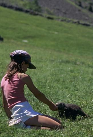 projet pédagogique Freney d'Oisans avec le Parc national des Ecrins - animaux sauvages - 2017-2018