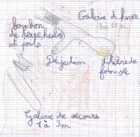 projet pédagogique Freney d'Oisans avec le Parc national des Ecrins - animaux sauvages - 2017-2018