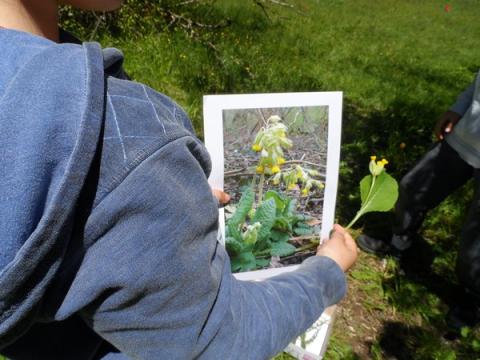 séance 4 pour les JD du Freney avec le Parc national des Écrins - juin 2018