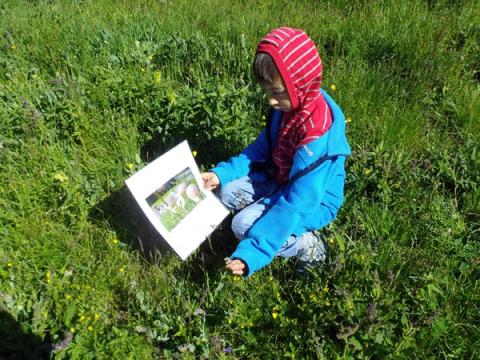 séance 4 pour les JD du Freney avec le Parc national des Écrins - juin 2018