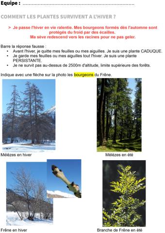 La neige et ses conséquences  - collège Vauban Briançon - hiver 2019 - photo Parc national des Ecrins