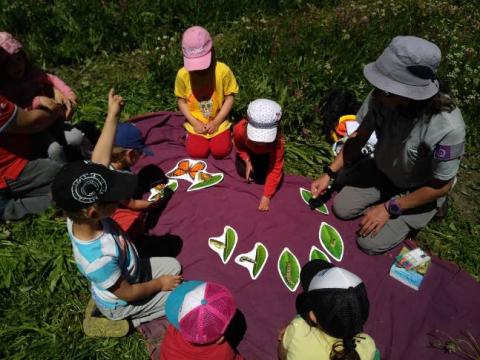 Jeunes découvreurs La Grave - Tout sur les papillons avec le parc national des Écrins - 2018-2019