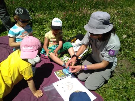 Jeunes découvreurs La Grave - Tout sur les papillons avec le parc national des Écrins - 2018-2019