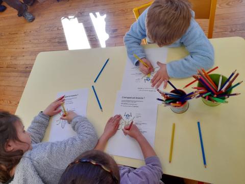 Animation parc et insectes pour les PS-CP de l'école de Puy-Saint-Eusèbe