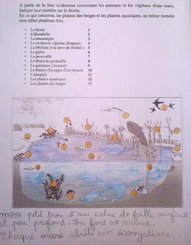 Intervention pédagogique à l'école du Freney-d'Oisans