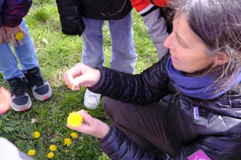 Animation scolaire à Saint-Bonnet