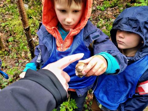 La pluie, c'est l'occasion de voir plein d'escargots différents