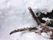 Le bouquetin mort a été retrouvé dans un vallon quasi-inacessible - © R.Papet/PNE